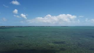 The palm tree house Cudjoe Key Florida