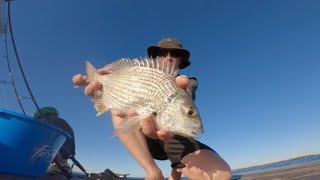 Jetty Bream Shenanigans