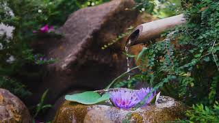 BAMBOO WATER FOUNTAIN w/ TIBETAN BOWL | Relax & Activate Your Zen | 2 HOUR WHITE NOISE