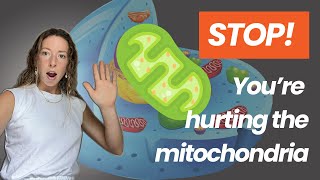 5 Things That Damage Your Mitochondria