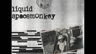 Liquid - Ghost Shadow (Spacemonkey Album 2019)