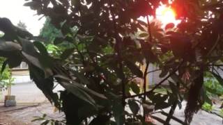Mobile Home Park Surrey BC