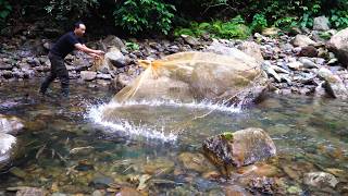 Finding Small Meals by the Stream | 365 Days of Survival in the Deep Forest | Ep 35