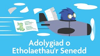 Adolygiad o Etholaethau'r Senedd (animeiddiad cymraeg)