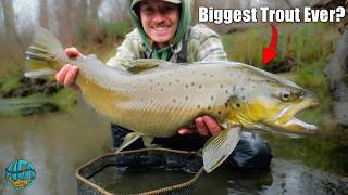 Fly Fishing for HUGE Brown Trout... My Craziest Fight Ever! (Tennessee Trout Fishing)