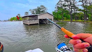 This is the BOAT DOCK Fish I Wanted!