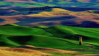 Chopin - Waltz Op. 69 No. 1 slowed down + reverb
