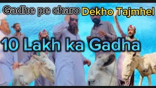 10 lakh ka gadha lo or tajmhel dekho #ashfaqchandio