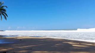 When Will He Call Me And A Rare Copy Of The Creditd