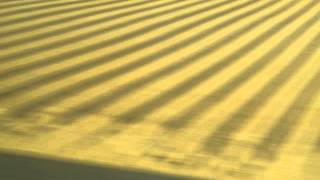 eurostartrip // Woody mcBride hard acid