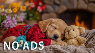 12 Hours Dog Sleep Music 🐕 Help Anxious Dogs Rest All Night | No Ads