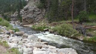 CO - 2024 Stream
