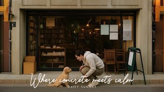 Seoul Lofi Hiphop Vol.3 | Daisy Sunday