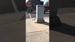 Walking for the gang this is the gang walk