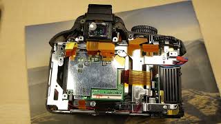 Modding The Nikon D3100 To Full Spectrum For Cornelia