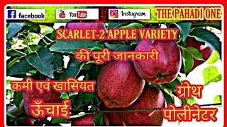 Scarlet-2 Apple Varietyकी पूरी जानकारी || charactetactics of Scarlet 2 Red Delicious Apple Variety 🍎