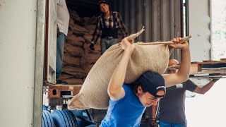 Day in the Life | Unloading a Container of Coffee (42,000 Pounds) 💪
