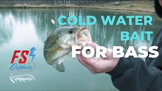 Late Winter Live Bait for Largemouth