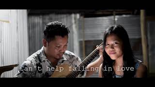 Can't help falling in love