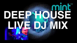 Mint Deep House Mix 2020, Chilled tunes for the summer by Reg Montage, 2hr + VJ Loops