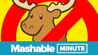 Don't Bring Home a Moose | Mashable Minute | With Elliott Morgan