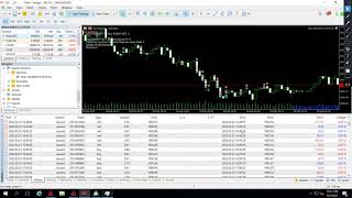 2022 NEWESTFX FIX DLL (ARBITRAGE LIVE TRADING)