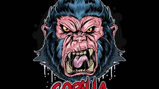 END x 22' - G O R İ  L L A