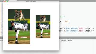 app class part 6 1 load and scale from url