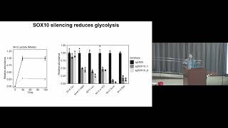 Transcriptional regulation of metabolism