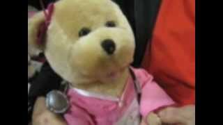 CUTE GIFT SHOP TEDDYS