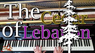 The Cedar of Lebanon 🌟 Christmas song #1494 #music #song