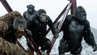 [LOST MEDIA] War For the Planet of the Apes (2017 Scaacacsc Sascas Cut)(not the actual real movie)