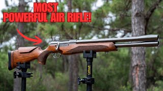 Top 10 Most Powerful Hunting Air Rifles of 2026 | Real Field Accuracy and Performance!