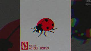 Mig Inc - Acides Tripes