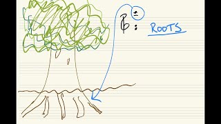 21m.383 -- Class 14, pt 1: Roots