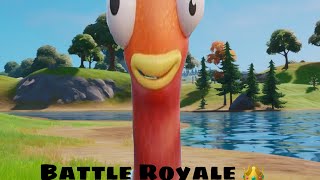 Fortnite  Battle Royal