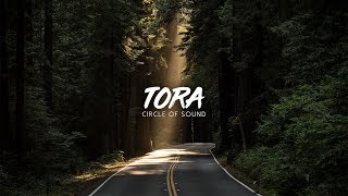 Tora - Too Much (LEISURE Remix)