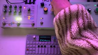Hologram Laboratory MicroCOSMOS + OP-1  | 3🪬Atlas