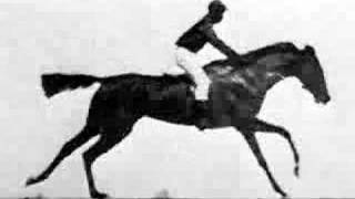 Muybridge