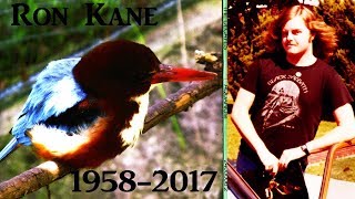 RON KANE (1958-2017),  It Was All About The Music