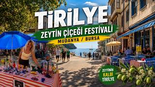 TİRİLYE Zeytin Çiçeği Festivali 2026🇹🇷 | Bursa'nın Tarihi Rum Köyünde Bir Gün | Mudanya Gezi Turu
