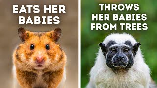 Animals That Are Shockingly Bad Parents