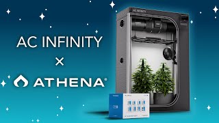 First Look at the AC Infinity x Athena x Jungle Boys 2x4 Cultivator Kit
