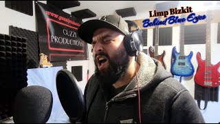 Franke Guzzi - Behind Blue Eyes (Limp Bizkit Cover)