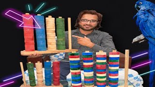 Only 1% Can Solve Brain Test Game! Can You Solve This?