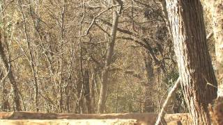 bmx street mutiny bikes HD720p H 264 AAC