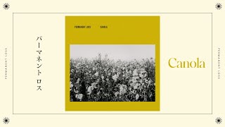 Permanent Loss - Canola (Official Audio)
