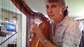 The lovely and wistful "Lilac Flower", composed by Nurit Hirsch, played on Celtic Harp
