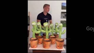 Goyal's Dancing Cactus Talking Toy Wriggle & Singing Recording Toys for Children Playing
