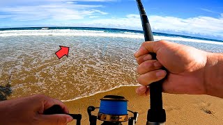 Nobody Goes Surf Fishing Here? They're Missing Out!